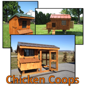 Amish Built Chicken Coops