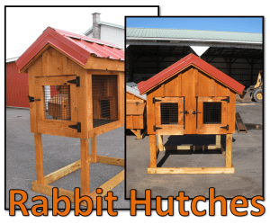 Amish Built Chicken Coops